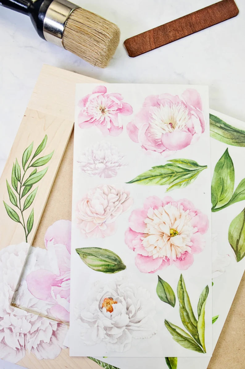 Redesign With Prima Morning Peonies Small Transfer