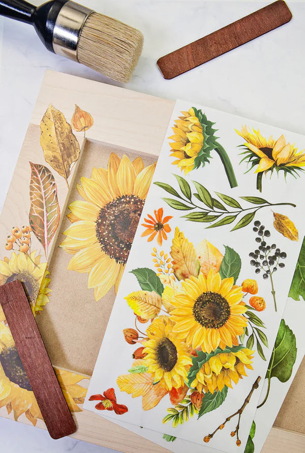 Redesign With Prima Sunflower Afternoon Small Transfer