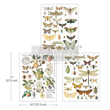 Bug Whisperer Redesign With Prima Middy Transfer