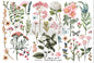 Redesign With Prima Botanical Paradise Small Transfer
