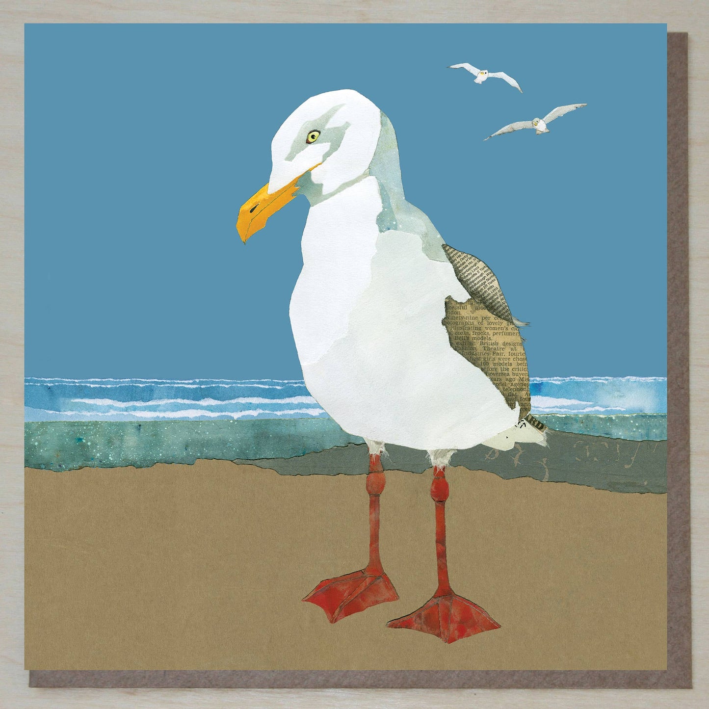 Herring Gull Card (British Birds)